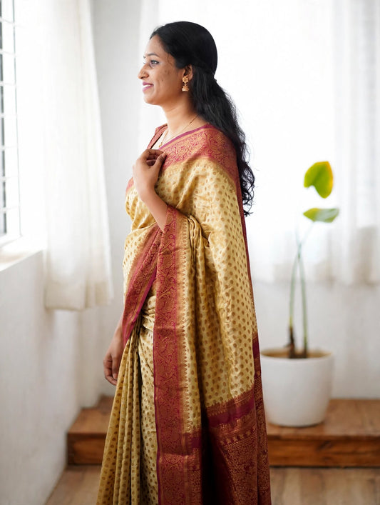 BANARASI SILK SAREE
