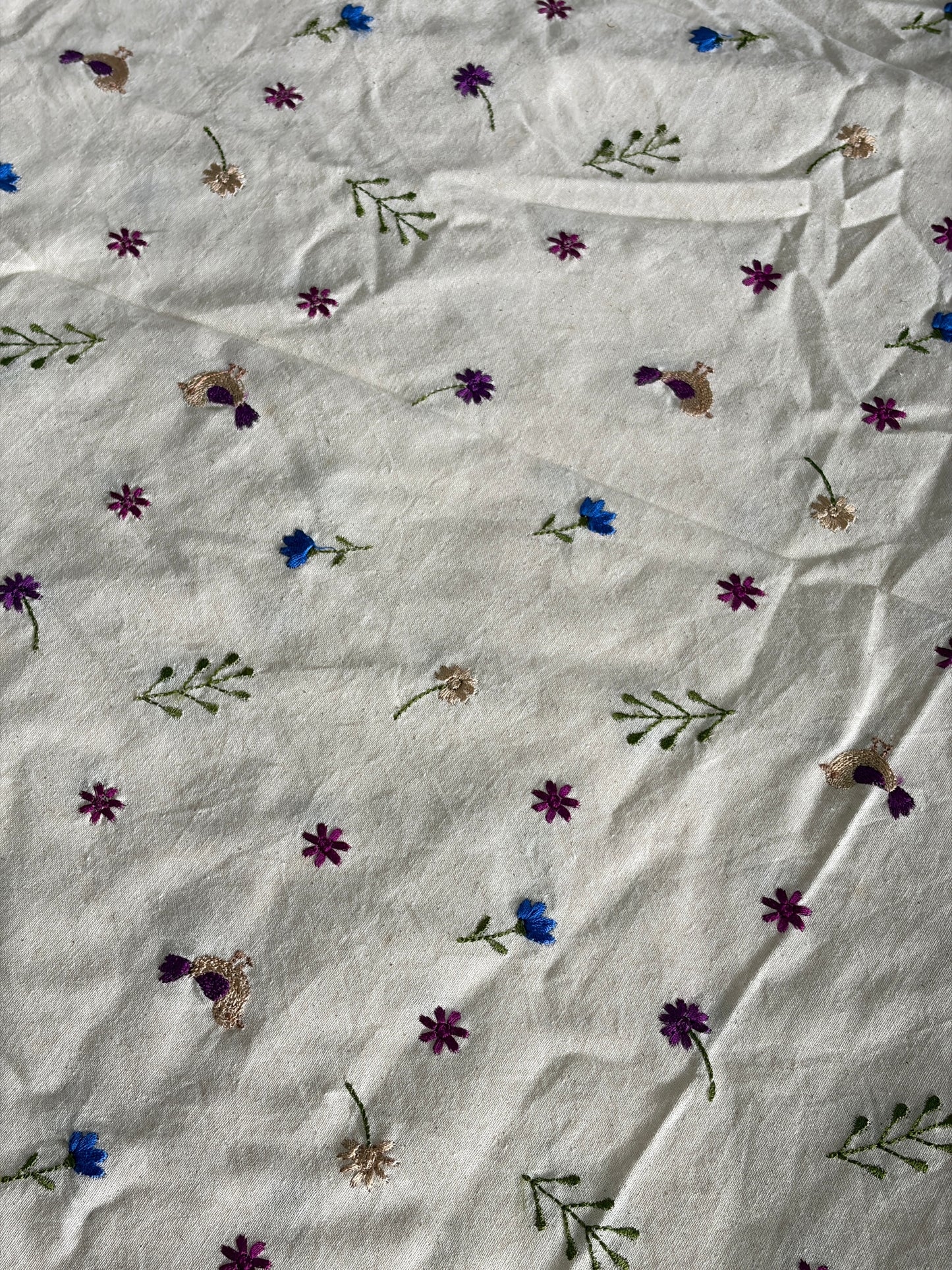 Cora Cotton with Embroidery-MIS285RRD1