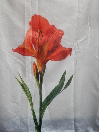 SCARLET - Chanderi Cotton MIS-804RRD2
