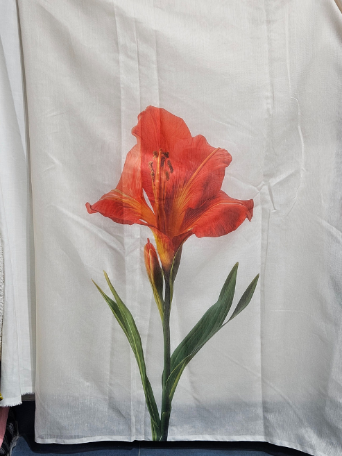 SCARLET - Chanderi Cotton MIS-804RRD2