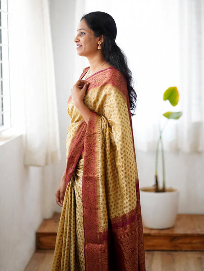 BANARASI SILK SAREE