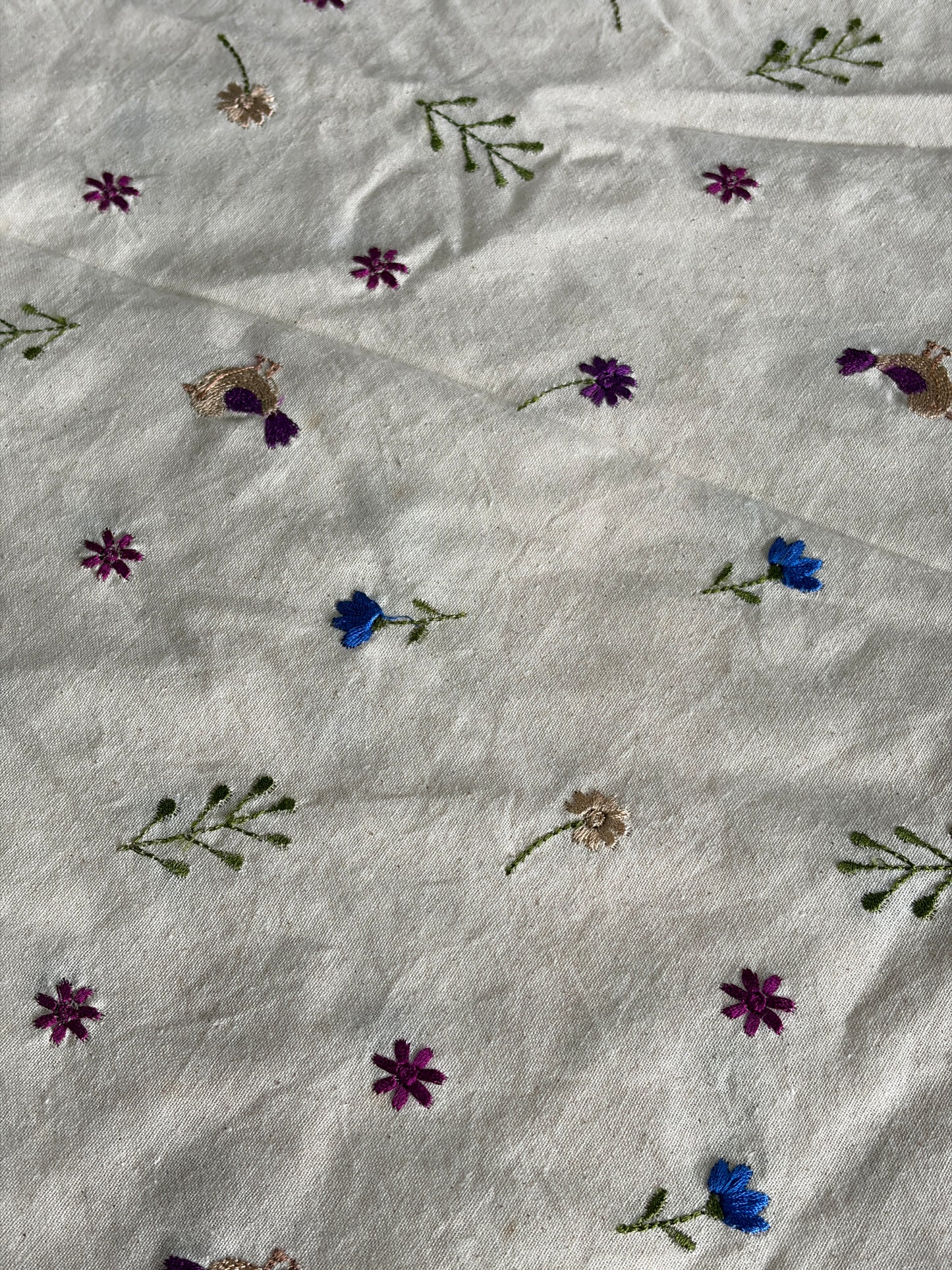 Cora Cotton with Embroidery-MIS285RRD1